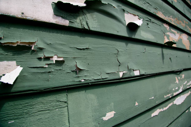 Best Shed Removal  in Hopewell, VA
